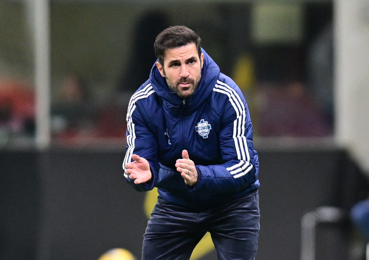 Cesc Fábregas, dirigiendo un encuentro del Como (Foto: beinsports.com)